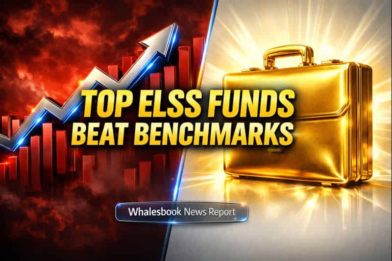 Top ELSS Funds Deliver Up to 20% CAGR in Decade, Beat Benchmarks
