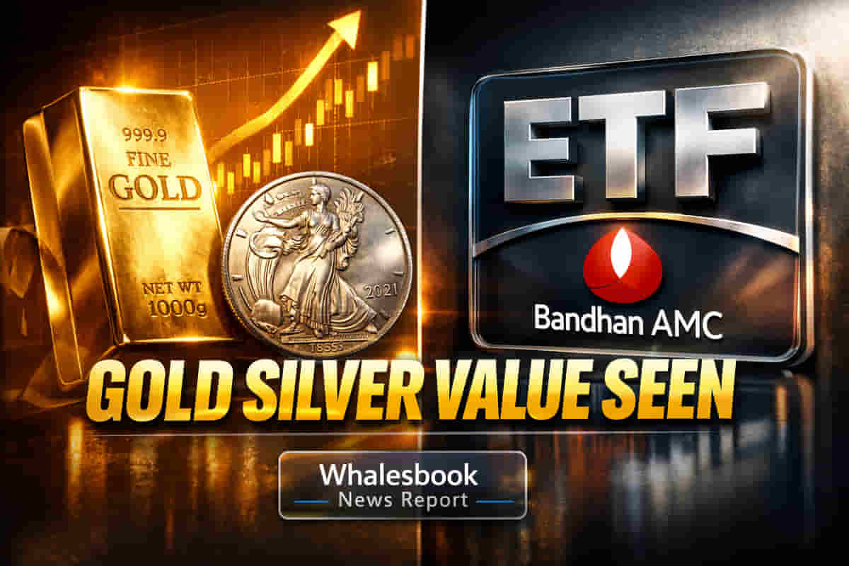 Gold, Silver Rally: Experts See Long-Term Value Despite Highs